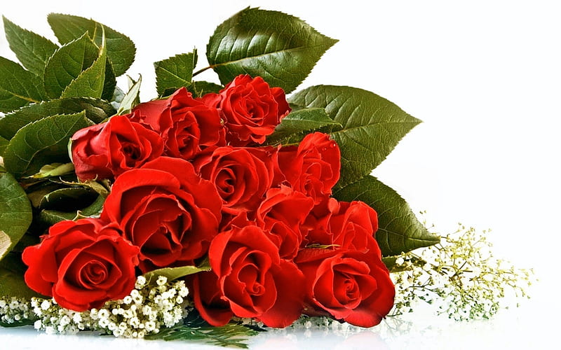 Happy Valentine's Day!, red, green, bouquet, rose, valentine, white, HD ...