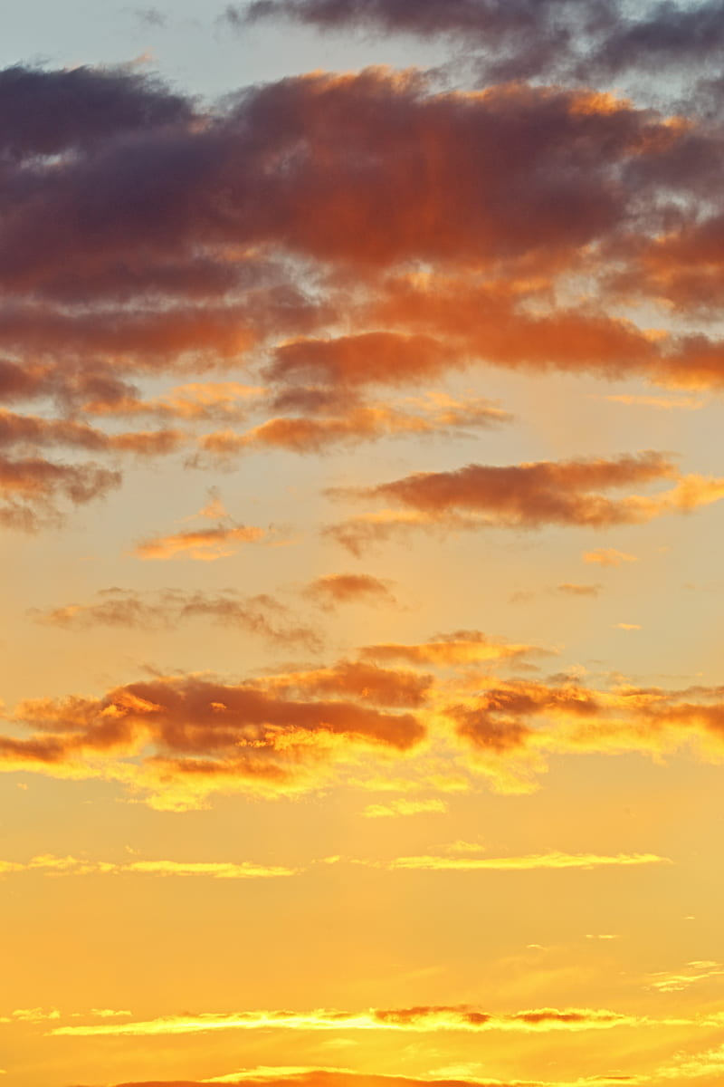 sunset, sky, clouds, golden, HD phone wallpaper