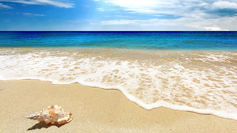 the scallop, azure, ocean wave, beach, sand, summer sky blue, scallop, sea, HD wallpaper
