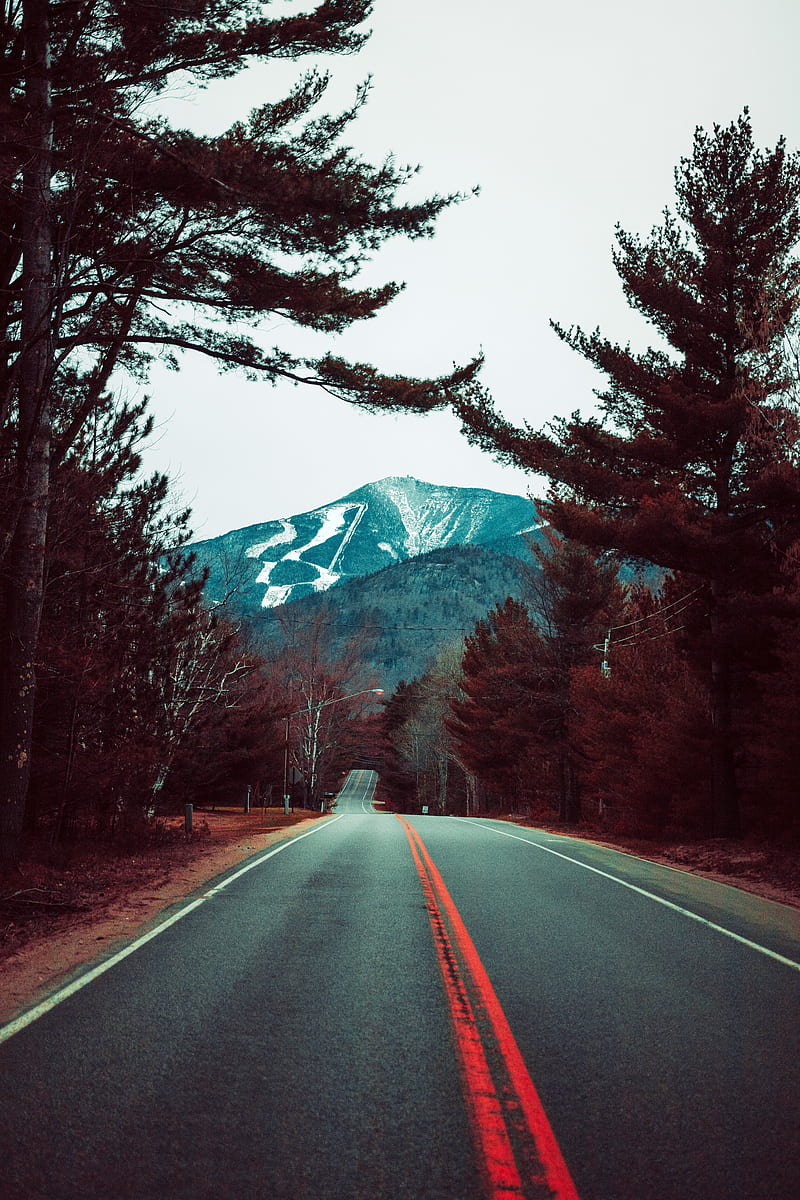 road, mountains, trees, nature, landscape, HD phone wallpaper