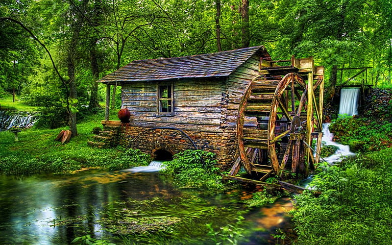 Watermill in Forest, water, plants, nature, wheel, creek, trees, HD wallpaper