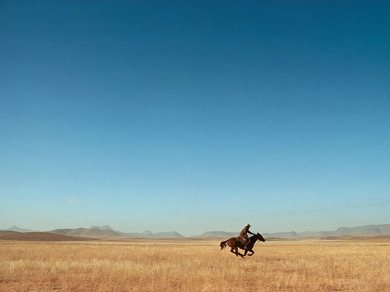 Ride Him Cowboy!, texas, ride, plains, horse, cowboy, HD wallpaper