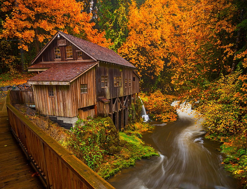 Autumn, fall, house, leaves, watermill, autumn splendor, nature, river, HD wallpaper