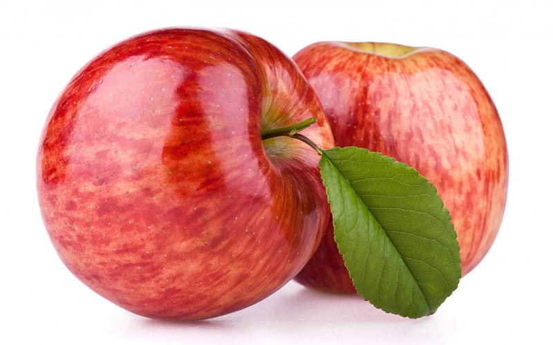 Apples, apple, red, autumn, food, sweet, dessert, fruit, green, white, HD wallpaper
