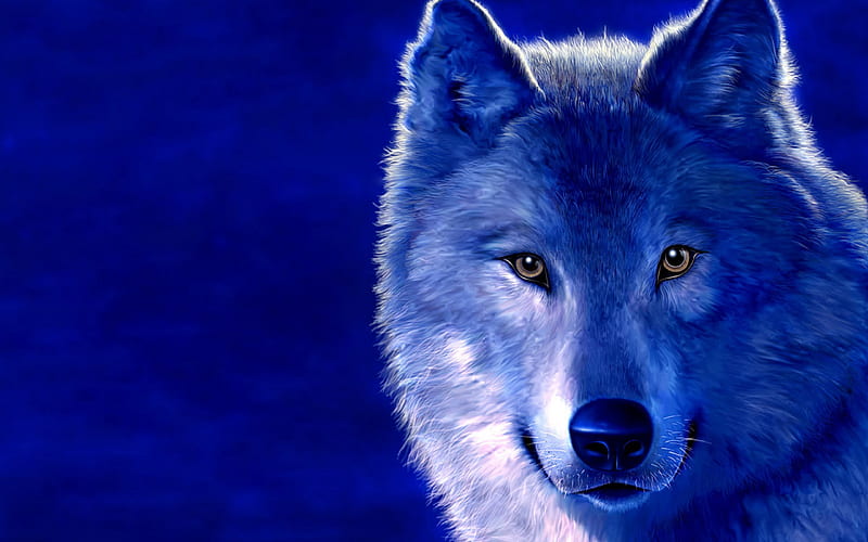 100 Wolf Predator Wallpapers  Wallpaperscom