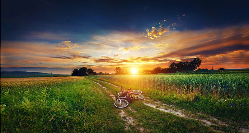 Lovely Sunset, colorful, sun, grass, bicycle, bonito, sunset, clouds, splendor, pathway, green, country road, path, beauty, bike, road, amazing, lovely, view, sunlight, colors, sky, trees, tree, peaceful, nature, field, landscape, HD wallpaper