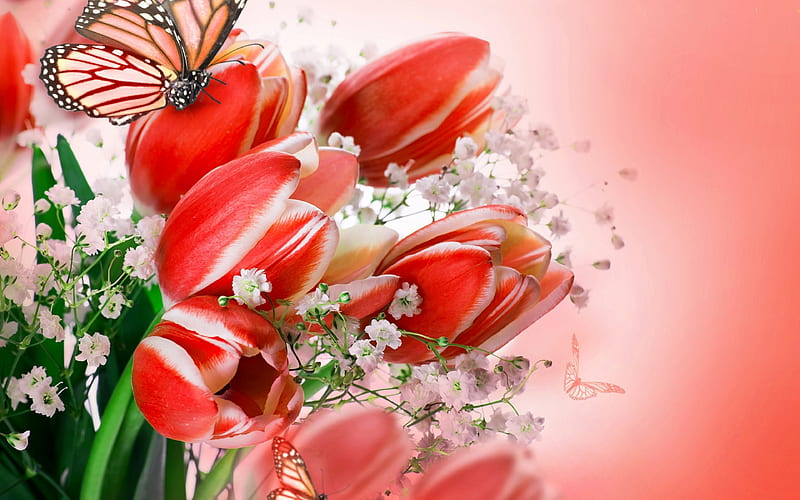 Butterfly and Tulips, pretty, Art, Tulip, Butterfly, HD wallpaper | Peakpx