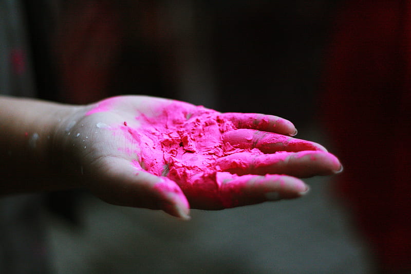 pink powder in right human palm, HD wallpaper
