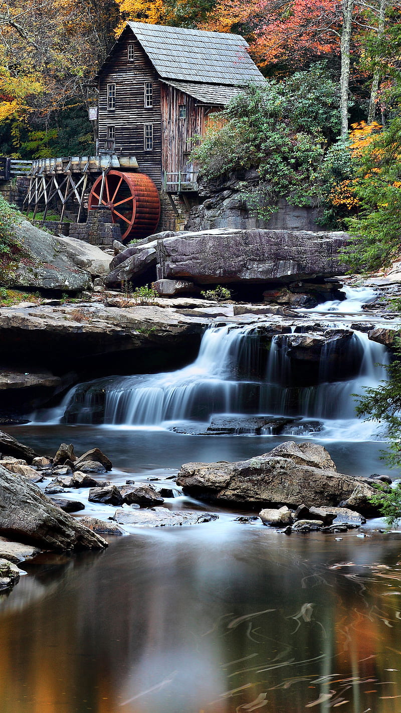 Watermill , forest, tree, rock, scenery, HD phone wallpaper