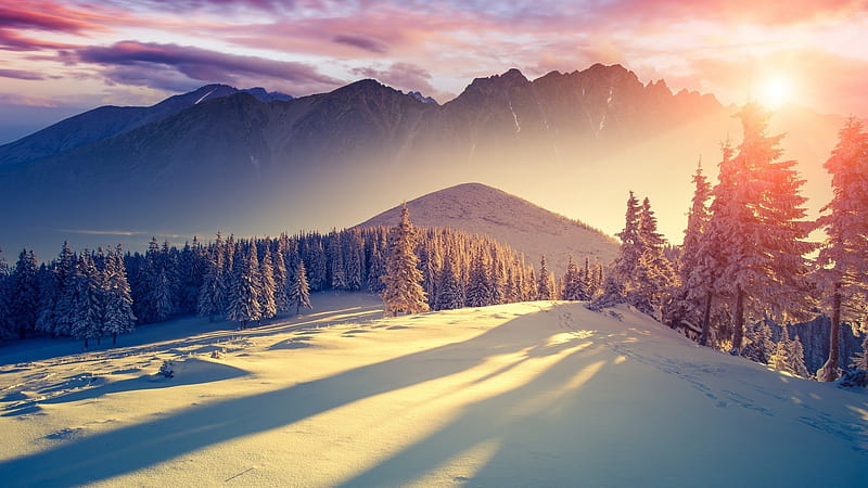 winter freshness landscapes-Nature, HD wallpaper
