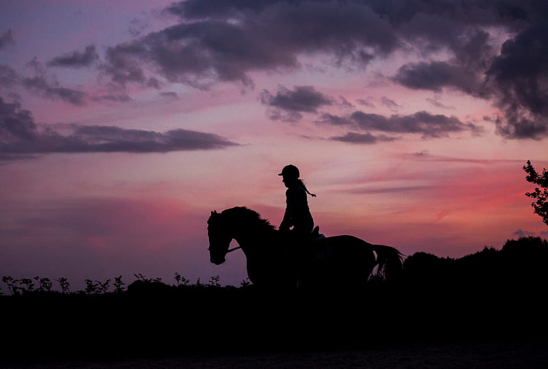 silhouette, dark, jockey, horse, twilight, equestrian, riding, HD wallpaper
