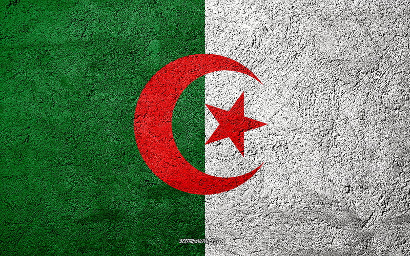 Flag of Algeria, concrete texture, stone background, Algeria flag, Africa, Algeria, flags on stone, HD wallpaper