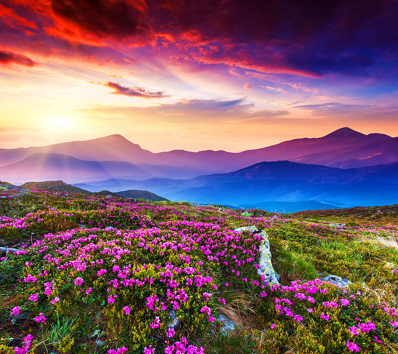 The Best of Nature-The most Beautiful Landscape 09, HD wallpaper | Peakpx
