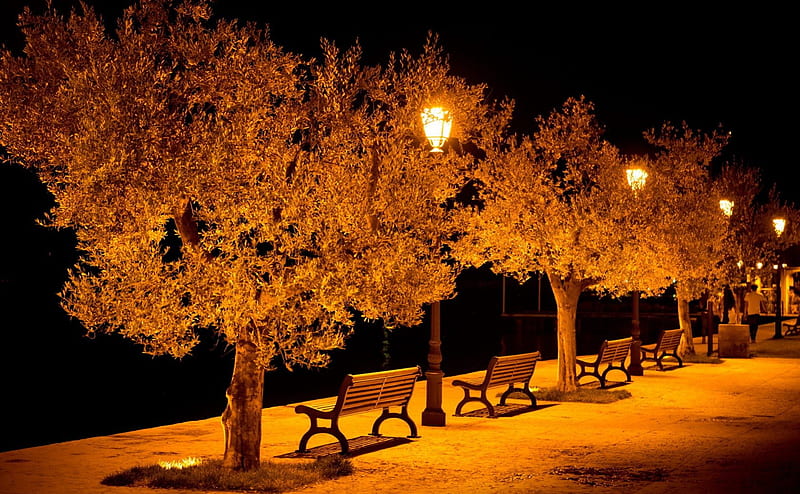 Romantic night, bench, park, romantic, night, HD wallpaper