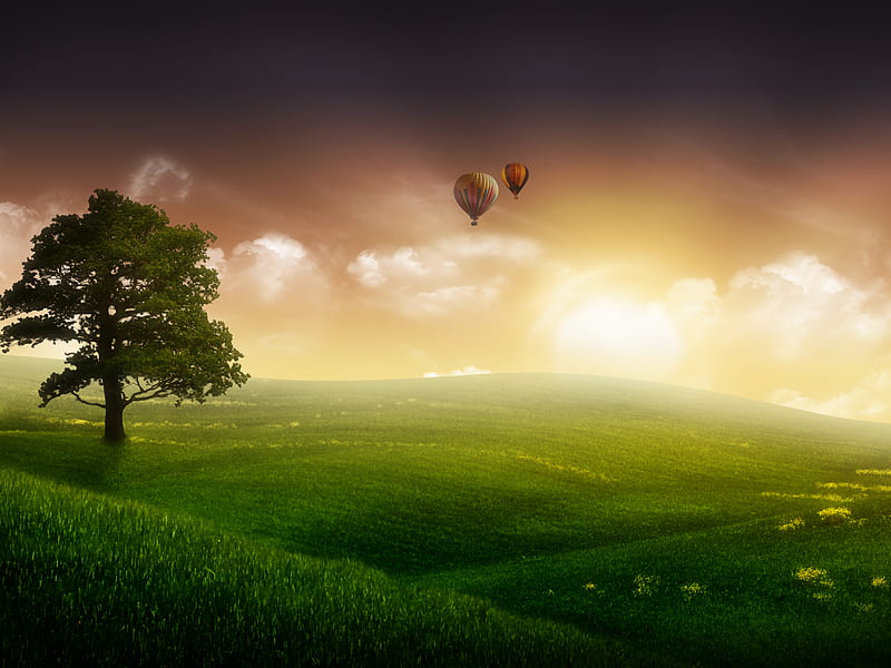 Balloon Rice, grass, 3d and cg, yellow, clouds, afternoon, nice, fantasy, gold, flowers, sunrises, sky, trees, rice, cool, purple, awesome, hop, white, brown, bonito, grasslands, graphy, sunsets, painting, fields, land, pink, amazing, abstracts, sunlight, colors, plants, balloons, nature, HD wallpaper