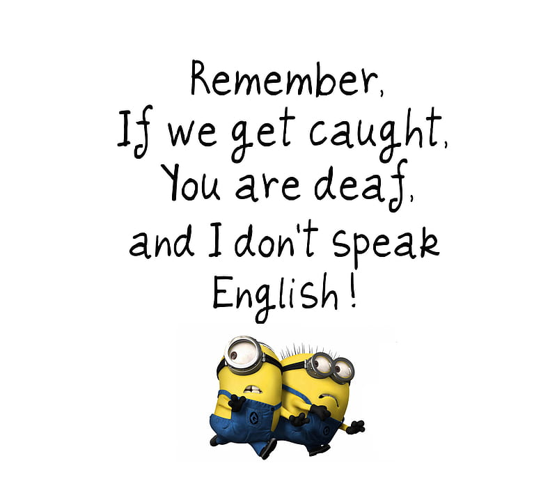 Remember, cute, deaf, english, funny, minions, quote, saying, HD wallpaper  | Peakpx