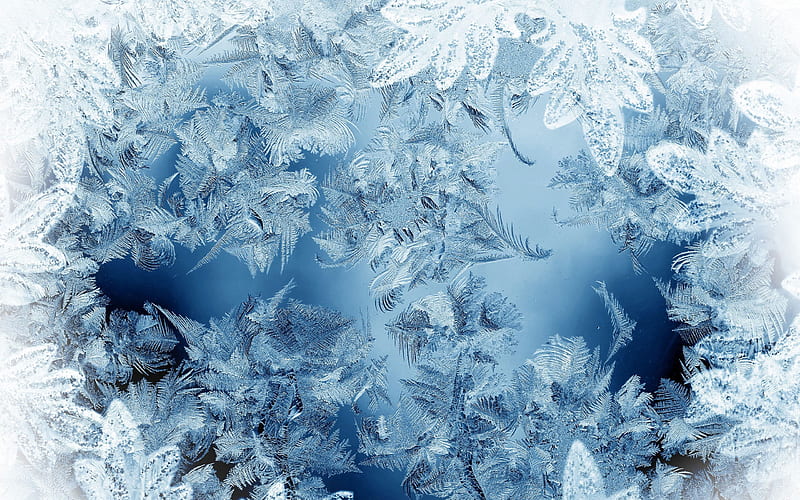 frosty glass patterns, macro, icy glass textures, hoarfrost, frosty textures, glass with ice, HD wallpaper