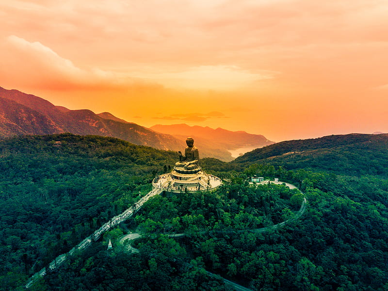 sitting budha statue on temple at the center of forest, HD wallpaper
