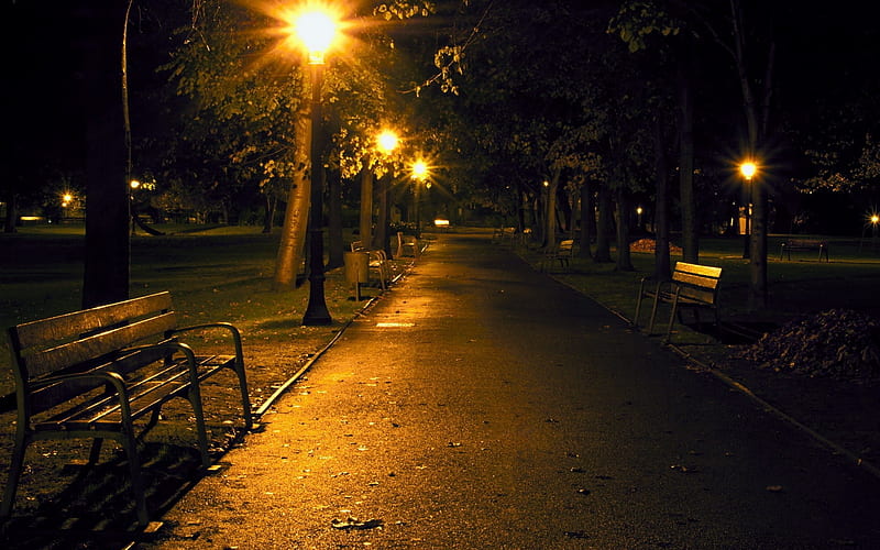 city night park benches-city graphy, HD wallpaper