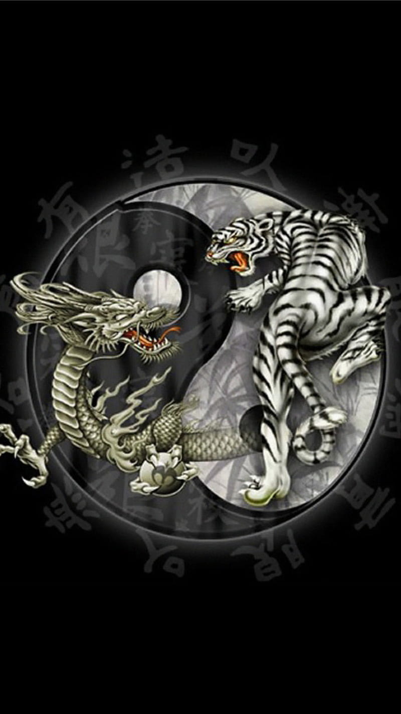 Yin Yang, tiger, dragon, HD phone wallpaper