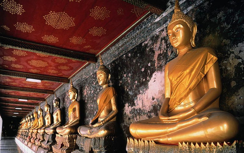 Row of golden buddhas, red, gold, statues, wall, HD wallpaper