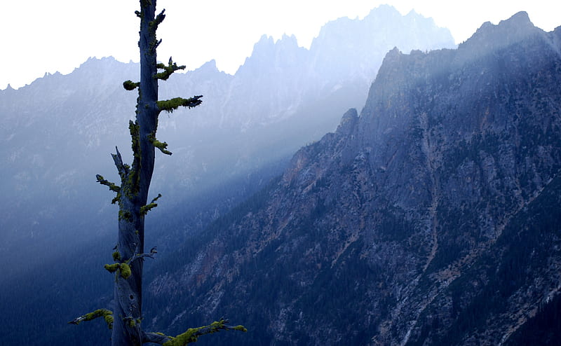 Dead Tree and Mountains Ultra, Nature, Landscape, Tree, Mountains, HD wallpaper