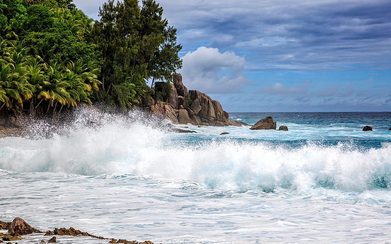 Seychelles, Indian Ocean, storm, big waves, the ocean, palm trees, Police Bay, HD wallpaper