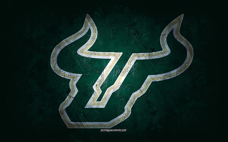 South Florida Bulls, American football team, green background, South Florida Bulls logo, grunge art, NCAA, American football, South Florida Bulls emblem, HD wallpaper