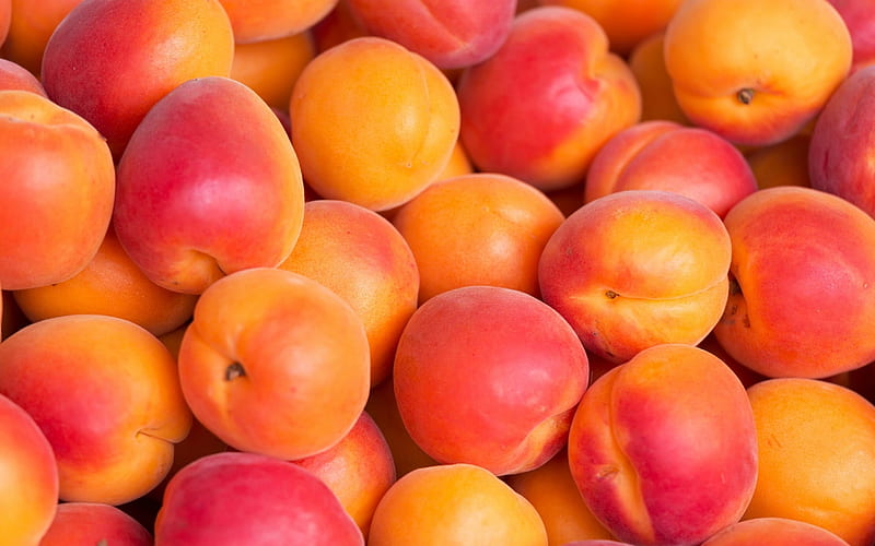 Apricots, red, orange, food, sweet, dessert, fruit, apricot, texture, summer, skin, HD wallpaper