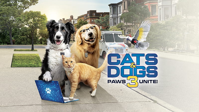 Movie, Cats & Dogs 3: Paws Unite!, Dog, HD wallpaper