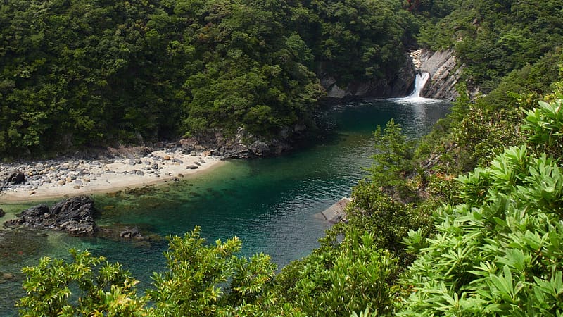 Torokino Fall, Yakushima, Japan, river, plants, trees, water, cascade, HD wallpaper
