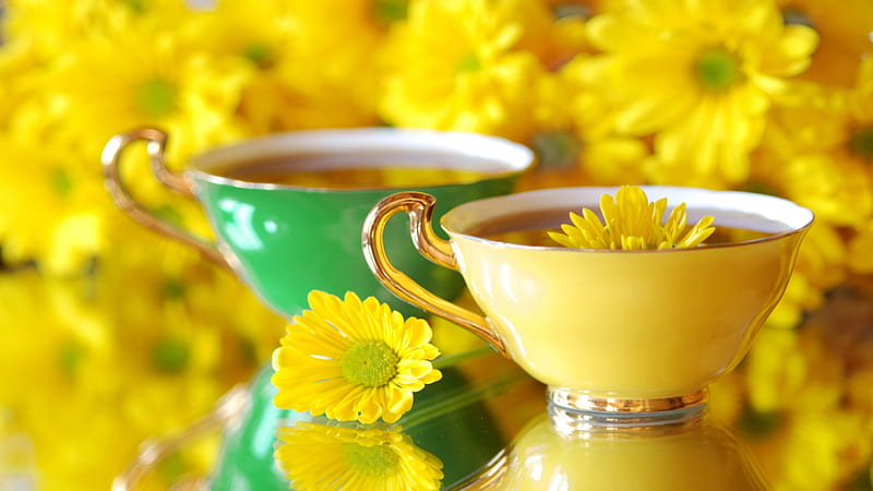 One flower, flower, elegance, yellow cup, cups, HD wallpaper | Peakpx