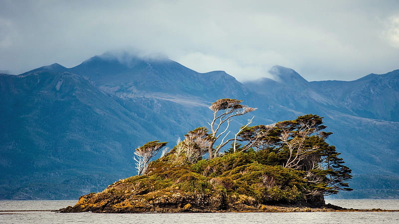 wind swept island in southern most chile, wind, mountains, island, trees, clouds, coast, HD wallpaper