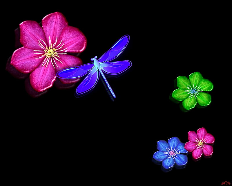 Flowers and dragonfly, 3d, shopped, dragonfly, summer, flowers, abstract, HD wallpaper