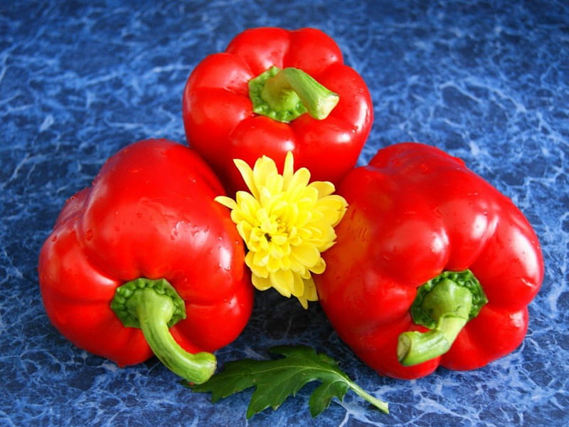 Red peppers, red, food, flowers, vegetable, peppers, HD wallpaper