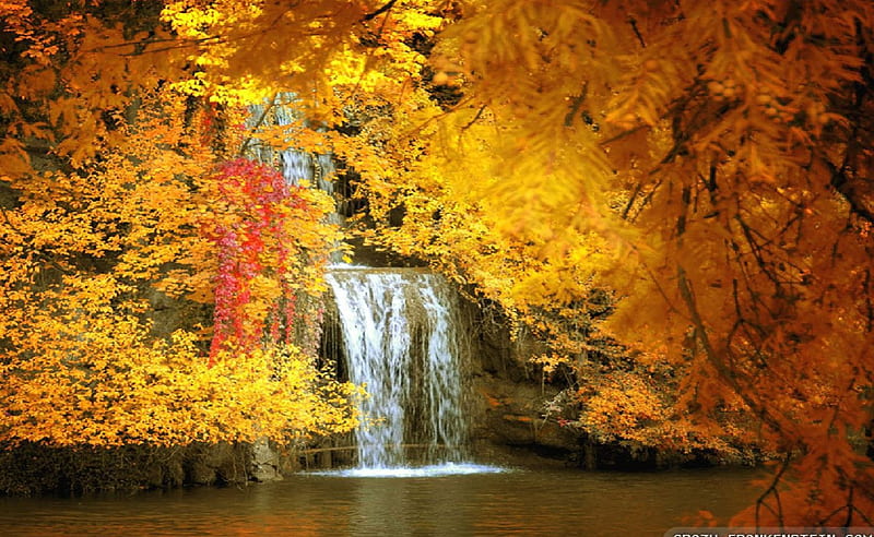Amazing Autumn Waterfalls, forest, autumn, orange, colors, yellow, trees, waterfalls, leaves, daylight, limbs, water, day, nature, river, falls, HD wallpaper