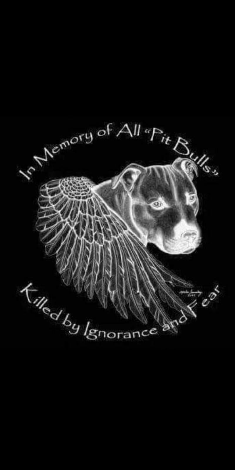 Pit angel, bulldog, dog, heaven, memory, pitbull, remember, saying, wings, HD phone wallpaper