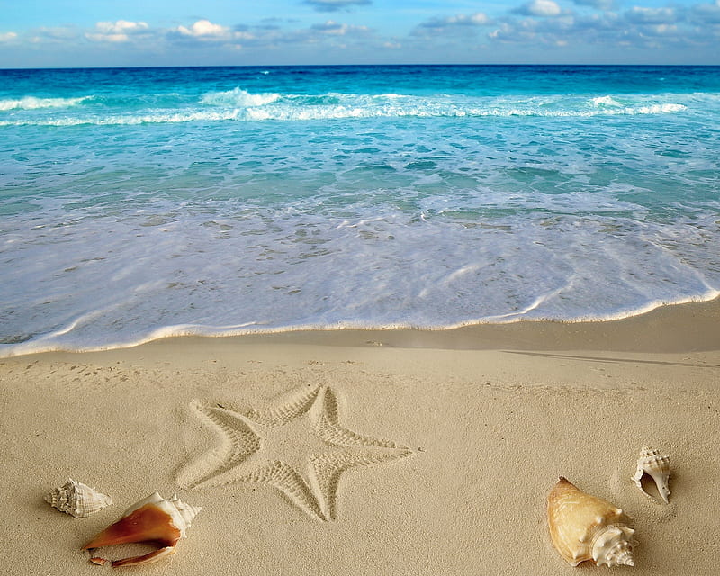 Summer Beach, sand, sea, shells, HD wallpaper