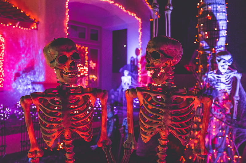 two skeleton near white concrete building with string lights at daytime, HD wallpaper