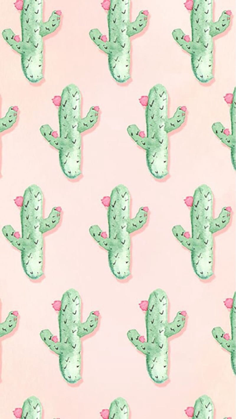 Cute Cactus, pink, HD phone wallpaper | Peakpx