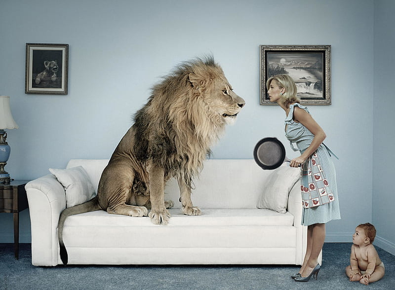:D, situation, lion, leu, baby, mother, advertise, add, fantasy, copil, commercial, child, funny, sofa, HD wallpaper