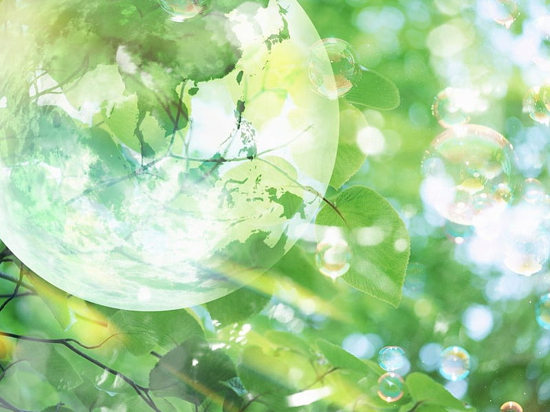 Transparent Globe, green leaves and sunlight, globe, leaves, green, sunlight, nature, HD wallpaper