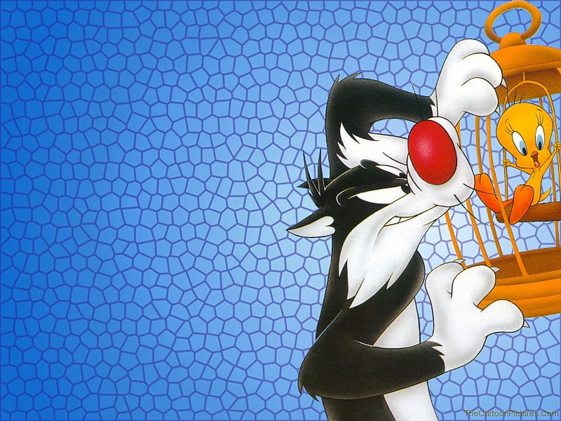 Sylvester After Tweety, cage, cat, bird, HD wallpaper