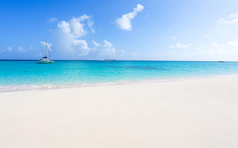 Bahamas, tropical islands, beach, palm trees, summer, ocean, sailboat, HD wallpaper