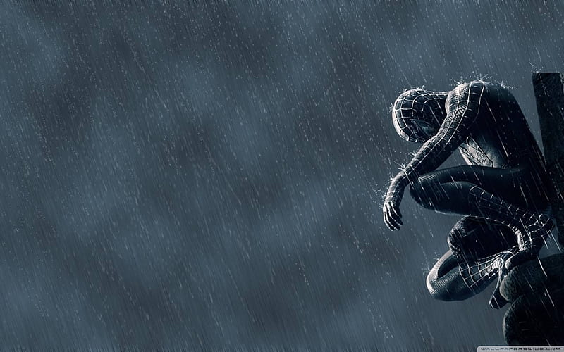 Spider Man In The Rain, Heavy Rain Game, HD wallpaper