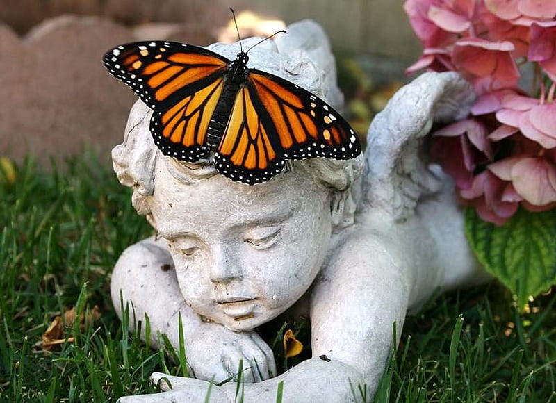 Cherub wings, grass, orange, black white, flowers, garden, white, monarch, cherub, HD wallpaper