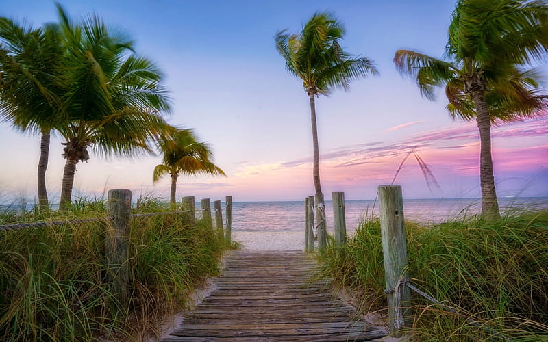 Key West, Florida, beach, florida, usa, palms, HD wallpaper