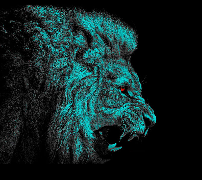 cyan roar, animal, lion, HD wallpaper