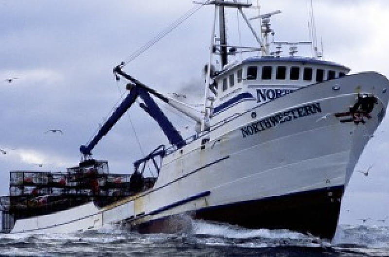 Northwestern Deadliest Catch King Crab Quota, crabs, boat, deck, fishing, HD wallpaper