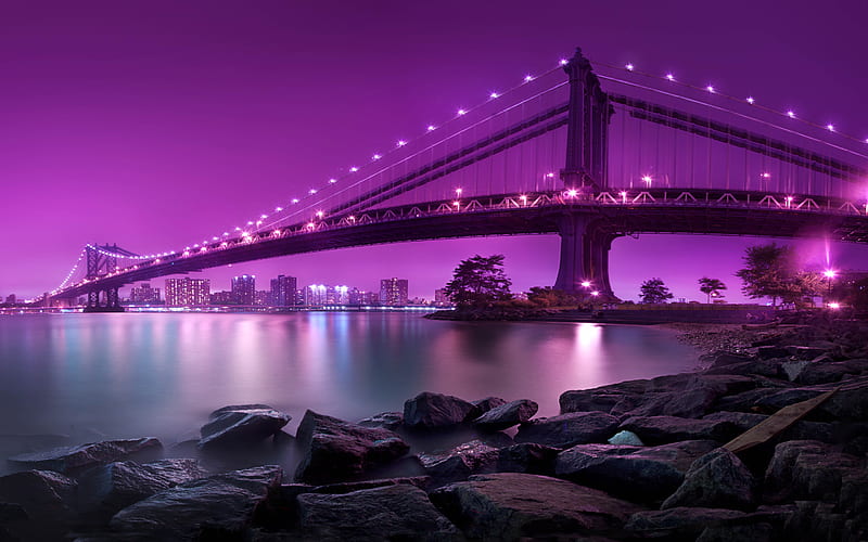 Night Purple, bridge, city, new, new , pink, sunset, HD wallpaper
